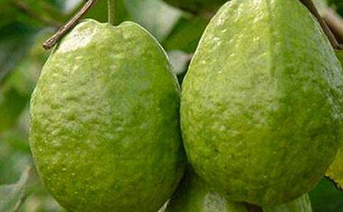 ʯ�������(ͨ��15ƪ)