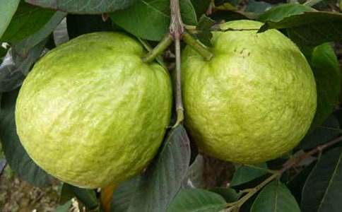 [���x]��ʯ���u�n��