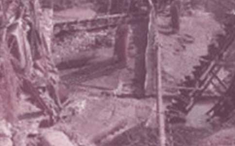 ʯ�ͻ����ИI(y��)���˹������Y(2ƪ)