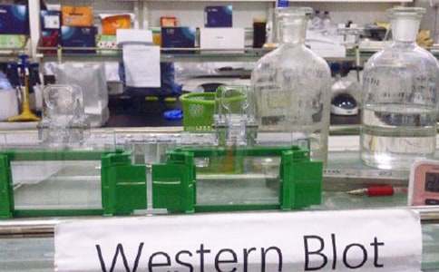 (��)���(sh��)�(y��n)�ҹ������Y(ji��)