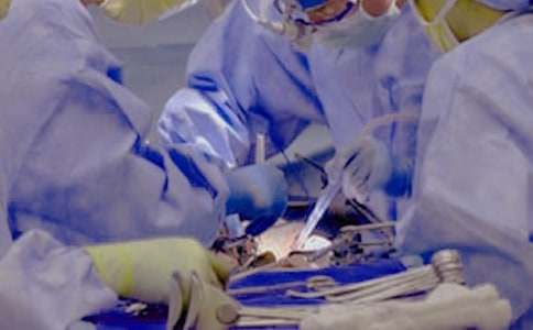 ����(y��u)�x�������g(sh��)����15ƪ