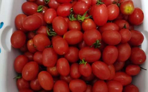 �����x���۳Ե�ˮ��������ƪ