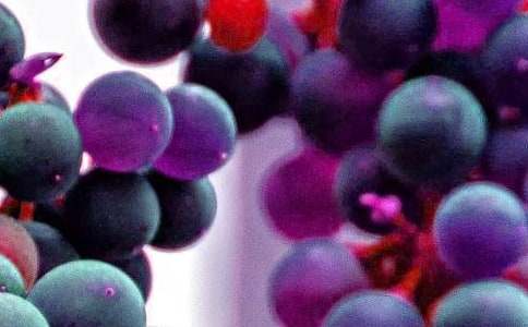 ����ˮ��ƴ�P����-ˮ������