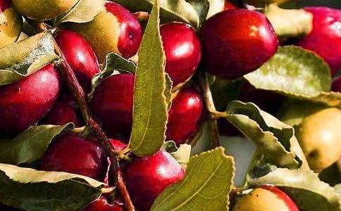 ˮ�����������B