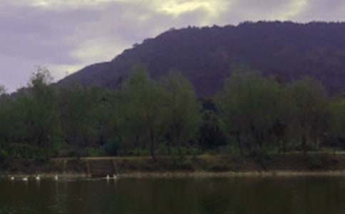 ˮ�����������Y(ji��)