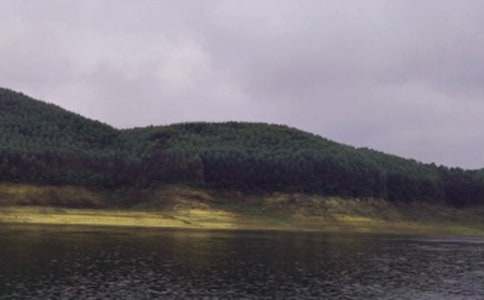 ˮ�쌍(sh��)��(x��)��(b��o)��