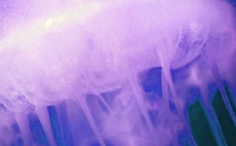 ˮĸС�W(xu��)����