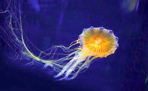 �˼�߅����ˮĸ�u(m��i)ѽ?