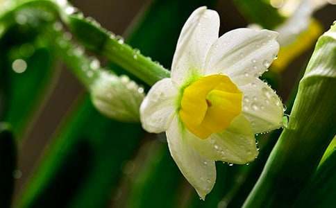 ��������ˮ�����x���600�֣�ͨ��16ƪ��