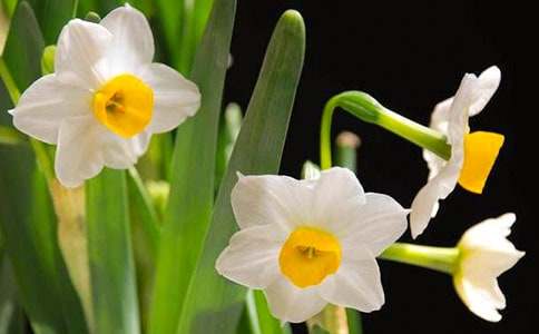 ������ˮ�����x���15ƪ