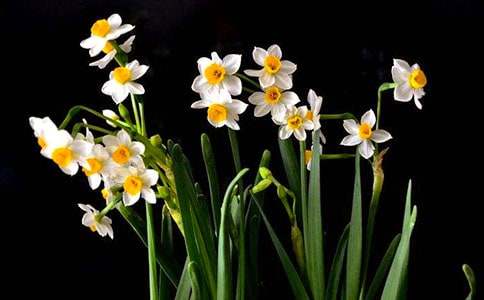 ��������ˮ�����и�