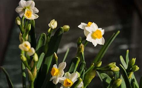 ��ͨ�á���������ˮ�����x���