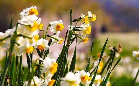 (�])ˮ�ɻ�����