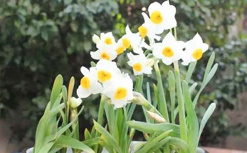 �Ҽҵ�ˮ�ɻ����ģ�����15ƪ��