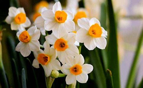 ˮ�ɻ�����(�R��15ƪ)