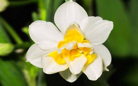 ˮ�ɻ����Ĵ�ȫ(15ƪ)