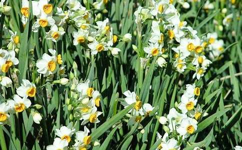 ����(j��ng)�䡿ˮ�ɻ�����