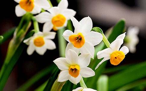 ˮ�ɻ����ĺϼ�15ƪ