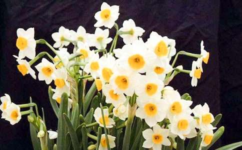 �茑�L��ˮ�ɻ��ľ���