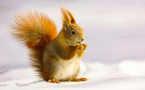 �����M(j��n)�ҁ������u�n��