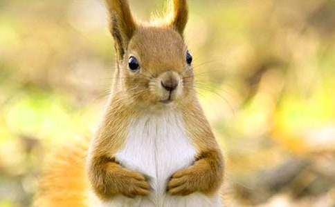 �����M(j��n)�ҁ������u(p��ng)�n��(5ƪ)