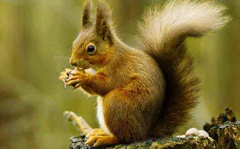 �����M�ҁ������󡷽�(j��ng)��̌W�OӋ