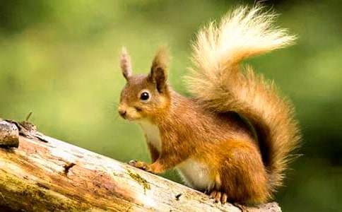 �����M�ҁ������u�n��4ƪ