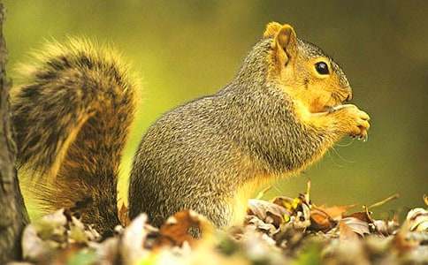 ��������ӛ���̌W(xu��)��˼