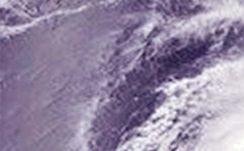 �_�L(f��ng)��ͨ�桾���ϡ�