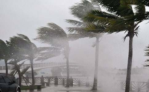 �_(t��i)�L(f��ng)��ȫͨ�桾����4ƪ��