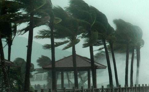 �ļ����_(t��i)�L(f��ng)�A(y��)�������x8ƪ��