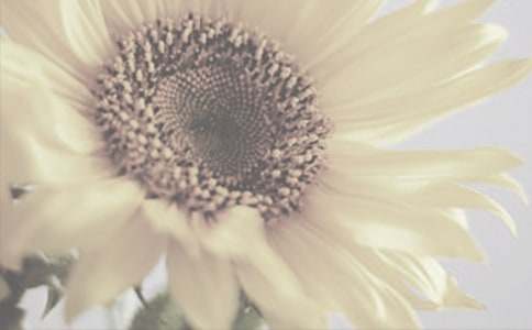 �����x��̫ꖻ�������4ƪ