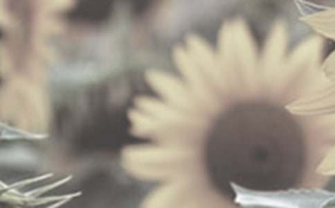 ���x̫ꖻ�����3ƪ