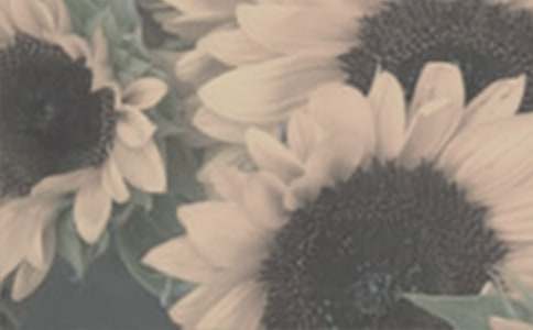 ̫ꖻ����B(y��ng)ֳ������ע�����