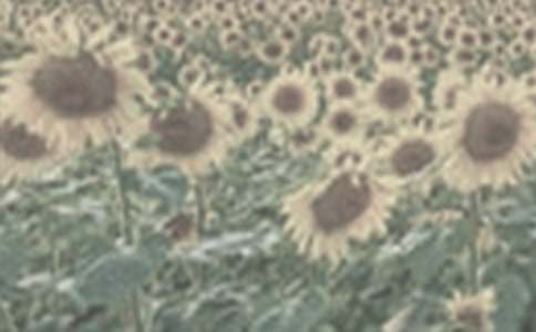 ���x̫ꖻ�������ƪ