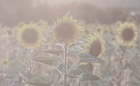 �����x��̫ꖻ���������ƪ