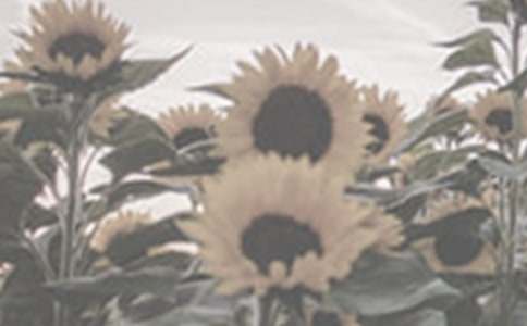 �����x��̫�(y��ng)������3ƪ