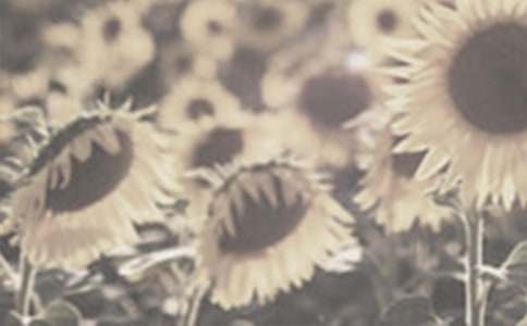 ̫ꖻ����ģ����x31ƪ��