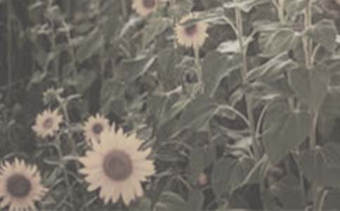 �P(gu��n)��̫�(y��ng)��������