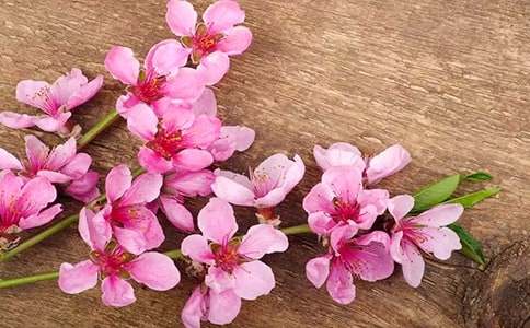 �һ���ľ�x���(15ƪ)