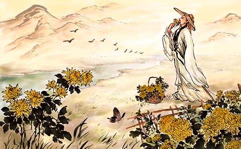 �՜Y�������嶷�������Ĺ���