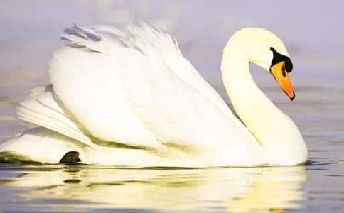 ����(y��u)�x�������Z����