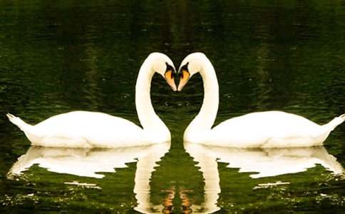 ���Z�Ĺ��½̌W(xu��)�O(sh��)Ӌ(j��)