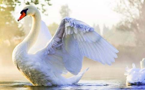 �����Z���¡��u�n��