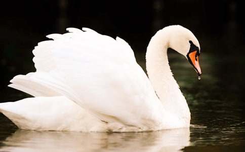 ���Z�Ĺ��½̌W(xu��)�O(sh��)Ӌ(j��)12ƪ