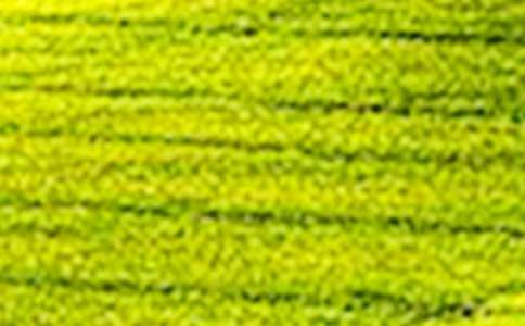 ��Ұ��������