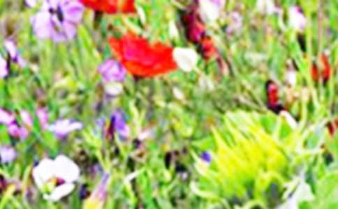 ����Ұ���ن����u�n��