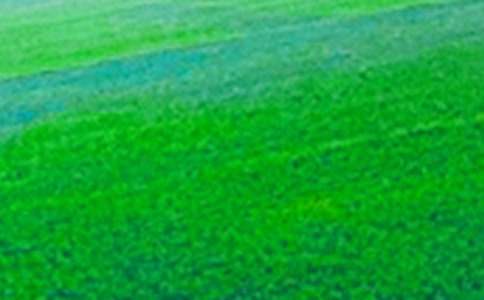 ��������Ұ���ąR��15ƪ