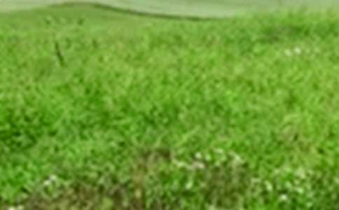 ��������Ұ����(ͨ��15ƪ)