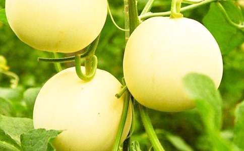 ��ϵٹ�Ч�c����